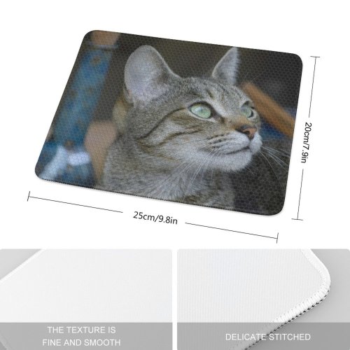 yanfind The Mouse Pad Abyssinian Free Snake Cat France Stock Reptile Wallpapers Images Pictures Pet Pattern Design Stitched Edges Suitable for home office game