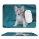 yanfind The Mouse Pad Funny Curiosity Cute Cat Young Little Eye Portrait Pet Whisker Downy Fur Pattern Design Stitched Edges Suitable for home office game