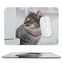 yanfind The Mouse Pad Funny Curiosity Sit Cute Little Young Eye Tabby Family Pet Whisker Fur Pattern Design Stitched Edges Suitable for home office game