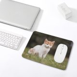 yanfind The Mouse Pad Young Kitty Grass Pet Funny Outdoors Resting Kitten Portrait Tabby Whiskers Curiosity Pattern Design Stitched Edges Suitable for home office game