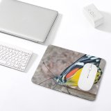 yanfind The Mouse Pad Wallpapers Images Free Monarch Birds Broken Insect Pictures Invertebrate Wing Butterfly Pattern Design Stitched Edges Suitable for home office game