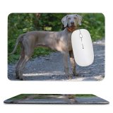 yanfind The Mouse Pad Dog Pet Wallpapers Pictures Pointer Hound Grey Creative Images Commons Pattern Design Stitched Edges Suitable for home office game