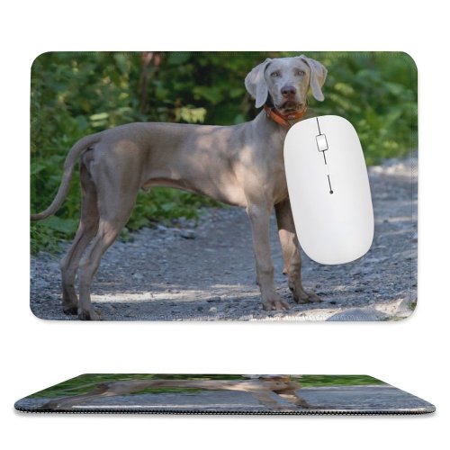 yanfind The Mouse Pad Dog Pet Wallpapers Pictures Pointer Hound Grey Creative Images Commons Pattern Design Stitched Edges Suitable for home office game