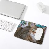 yanfind The Mouse Pad Young Grey Pet Funny Kitten Portrait Tabby Cute Little Sleep Cat Eye Pattern Design Stitched Edges Suitable for home office game