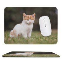 yanfind The Mouse Pad Young Kitty Grass Pet Funny Outdoors Resting Kitten Portrait Tabby Whiskers Curiosity Pattern Design Stitched Edges Suitable for home office game