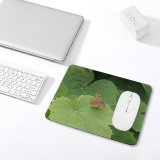yanfind The Mouse Pad Vine Leaf Grapes Grape Wine Leaves Butterfly Cynthia (subgenus) Comma Insect Moths Pattern Design Stitched Edges Suitable for home office game