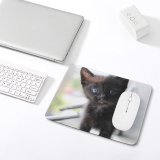 yanfind The Mouse Pad Blur Focus Whiskers Little Cat Baby Portrait Pet Sit Tabby Fur Curiosity Pattern Design Stitched Edges Suitable for home office game