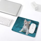 yanfind The Mouse Pad Funny Curiosity Cute Cat Young Little Eye Portrait Pet Whisker Downy Fur Pattern Design Stitched Edges Suitable for home office game