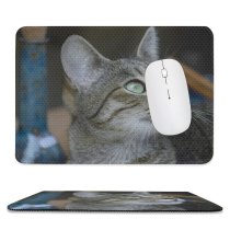 yanfind The Mouse Pad Abyssinian Free Snake Cat France Stock Reptile Wallpapers Images Pictures Pet Pattern Design Stitched Edges Suitable for home office game