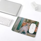 yanfind The Mouse Pad Young Kitty Pet Outdoors Kitten Tabby Whiskers Outside Cute Little Adorable Cat Pattern Design Stitched Edges Suitable for home office game