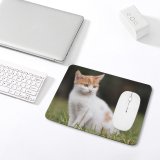 yanfind The Mouse Pad Blur Focus Whiskers Cat Grass Pet Sit Fur Outdoors Kitten Adorable Cute Pattern Design Stitched Edges Suitable for home office game