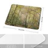 yanfind The Mouse Pad Scenery Trail Grove Tree Wilderness Plant Jungle Woodland Trunk PNG Outdoors Pattern Design Stitched Edges Suitable for home office game