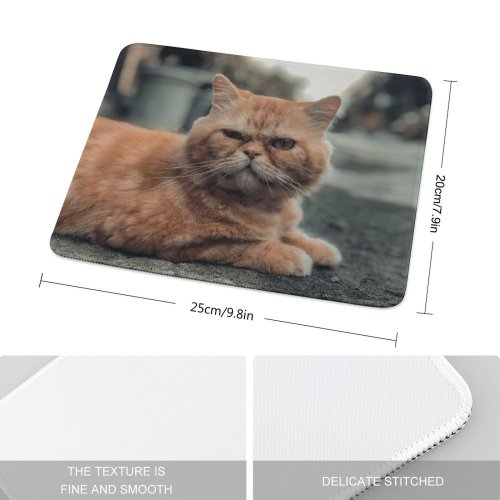 yanfind The Mouse Pad Pet Funny Kitten Portrait Curiosity Cute Little Adorable Sit Sleep Cat Eye Pattern Design Stitched Edges Suitable for home office game