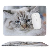yanfind The Mouse Pad Young Grey Pet Funny Kitten Portrait Cute Little Adorable Staring Cat Eye Pattern Design Stitched Edges Suitable for home office game