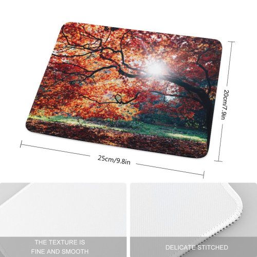 yanfind The Mouse Pad Dan Freeman Autumn Fall Maple Tree Foliage Sunlight Westonbirt National Arboretum England Pattern Design Stitched Edges Suitable for home office game