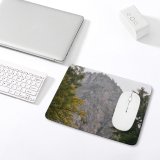 yanfind The Mouse Pad Abies Plant Domain Pictures Outdoors Grey Tree Fir Berchtesgaden Public Conifer Pattern Design Stitched Edges Suitable for home office game