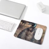 yanfind The Mouse Pad Poultry Bird Outdoors Daylight Zoology Eye Side Beak Grass Portrait Wildlife Feather Pattern Design Stitched Edges Suitable for home office game