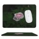 yanfind The Mouse Pad Wallpapers Flower Rose Geranium Plant Blossom Grey Domain Images Public Pattern Design Stitched Edges Suitable for home office game