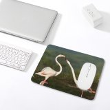 yanfind The Mouse Pad Blur Focus Wild Wings Depth Neck Avian Field Wildlife Outdoors Flamingos Beak Pattern Design Stitched Edges Suitable for home office game