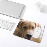 yanfind The Mouse Pad Dog Pet Free Pictures Stock Golden Images Pattern Design Stitched Edges Suitable for home office game