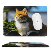 yanfind The Mouse Pad Young Kitty Pet Outdoors Kitten Portrait Tabby Whiskers Curiosity Cute Little Sit Pattern Design Stitched Edges Suitable for home office game