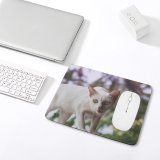 yanfind The Mouse Pad Funny Curiosity Sit Cute Cat Young Little Pet Pattern Design Stitched Edges Suitable for home office game