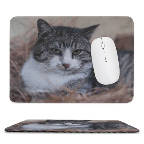 yanfind The Mouse Pad Abyssinian Free Hay Cat Stock Wallpapers Manx Images Pictures Pet Grey Pattern Design Stitched Edges Suitable for home office game