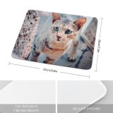 yanfind The Mouse Pad Rock Baby Eyes Young Kitty Pet Outdoors Kitten Portrait Tabby Cute Little Pattern Design Stitched Edges Suitable for home office game