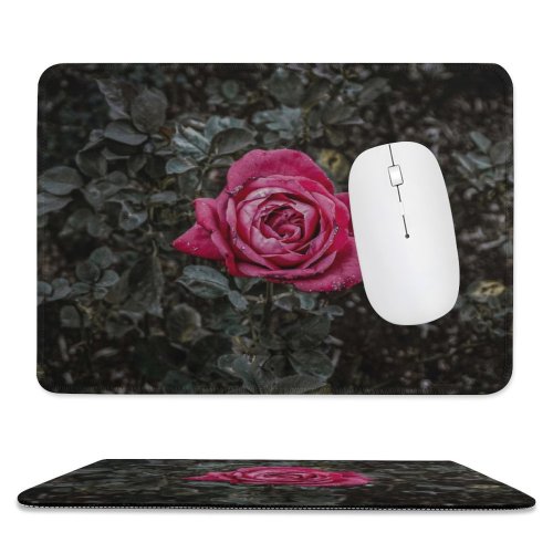 yanfind The Mouse Pad Free Flower Petal Rose Stock Geranium Plant Blossom Acanthaceae Images Pattern Design Stitched Edges Suitable for home office game