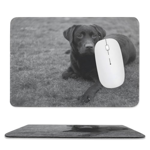 yanfind The Mouse Pad Dog Wildlife Free Wallpapers Helios Bw Images Pictures Bear Pet Grey Pattern Design Stitched Edges Suitable for home office game