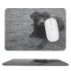 yanfind The Mouse Pad Dog Wildlife Free Wallpapers Helios Bw Images Pictures Bear Pet Grey Pattern Design Stitched Edges Suitable for home office game