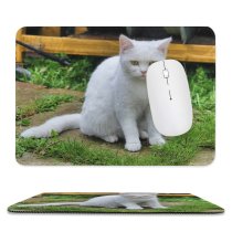yanfind The Mouse Pad Young Grass Pet Funny Outdoors Kitten Portrait Cute Little Sit Cat Eye Pattern Design Stitched Edges Suitable for home office game