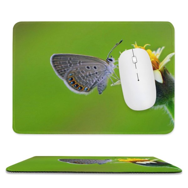 yanfind The Mouse Pad Blur Focus Butterfly Delicate Insect Wings Depth Field Lepidoptera Macro Wildlife Pollen Pattern Design Stitched Edges Suitable for home office game
