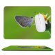 yanfind The Mouse Pad Blur Focus Butterfly Delicate Insect Wings Depth Field Lepidoptera Macro Wildlife Pollen Pattern Design Stitched Edges Suitable for home office game