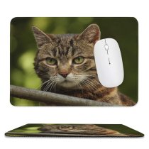 yanfind The Mouse Pad Funny Curiosity Outdoors Cute Little Young Eye Portrait Staring Kitten Whisker Fur Pattern Design Stitched Edges Suitable for home office game