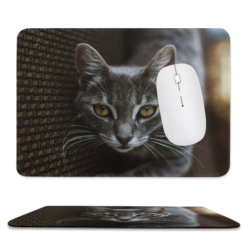 yanfind The Mouse Pad Abyssinian Kitten Cat Wallpapers Manx Creative Images Eye Pictures Face Tabby Pattern Design Stitched Edges Suitable for home office game