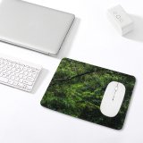 yanfind The Mouse Pad Vehicle Plant Pinoh Domain Barat Rowboat Pictures Transportation Boat Outdoors Jungle Pattern Design Stitched Edges Suitable for home office game