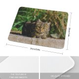 yanfind The Mouse Pad Young Grass Pet Funny Outdoors Kitten Portrait Wildlife Cute Little Staring Cat Pattern Design Stitched Edges Suitable for home office game