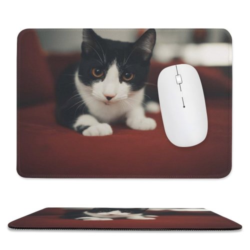 yanfind The Mouse Pad Funny Curiosity Sit Cute Cat Young Blur Eye Baby Little Portrait Pet Pattern Design Stitched Edges Suitable for home office game