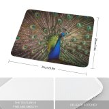 yanfind The Mouse Pad Paul Carmona Peacock Peafowl Beautiful Feathers Closeup Bird Colorful Pattern Design Stitched Edges Suitable for home office game
