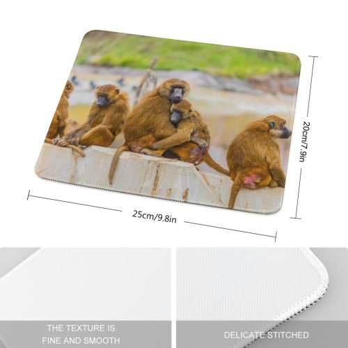 yanfind The Mouse Pad Uyuni Guinea Paris Cercopithecidae Birds Primate Images Monkey Africa Grooming Free Pattern Design Stitched Edges Suitable for home office game