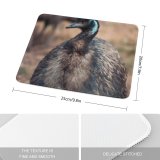 yanfind The Mouse Pad Poultry Bird Outdoors Daylight Zoology Eye Side Beak Grass Portrait Wildlife Feather Pattern Design Stitched Edges Suitable for home office game