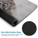 yanfind The Mouse Pad Blur Focus Whiskers Cat Depth Field Pet Tabby Fur Furry Funny Adorable Pattern Design Stitched Edges Suitable for home office game