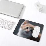 yanfind The Mouse Pad Cat Kitten Pet Cute Cat Portrait Fur Baby Cat Pattern Design Stitched Edges Suitable for home office game