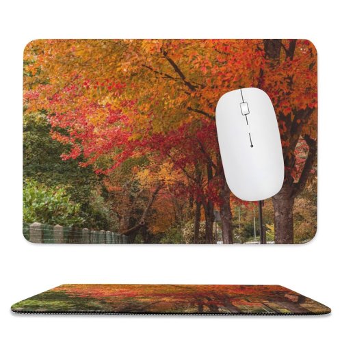yanfind The Mouse Pad Walkway Plant Automne Pavement Pictures Outdoors Stock Tree Free Sidewalk Street Pattern Design Stitched Edges Suitable for home office game
