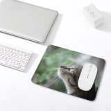 yanfind The Mouse Pad Blur Focus Whiskers Cat Depth Field Shallow Pet Tabby Cat's Fur Furry Pattern Design Stitched Edges Suitable for home office game