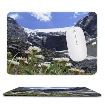 yanfind The Mouse Pad Fiordland Natural Sun Cliffs Wilderness Landscape Mountain Plant Flowers Wildflower Ice Fiords Pattern Design Stitched Edges Suitable for home office game