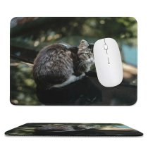yanfind The Mouse Pad Plant Blurred Daylight Harmony Eyes Tree Alone Pet Homeless Outdoors City Street Pattern Design Stitched Edges Suitable for home office game