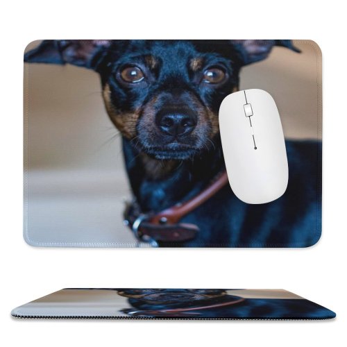 yanfind The Mouse Pad Dog Pet Free Pictures Stock Images Pattern Design Stitched Edges Suitable for home office game