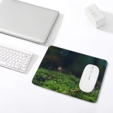 yanfind The Mouse Pad Blur Forest Little Grass Growth Toadstool Garden Fungus Outdoors Mushroom Flora Fungi Pattern Design Stitched Edges Suitable for home office game